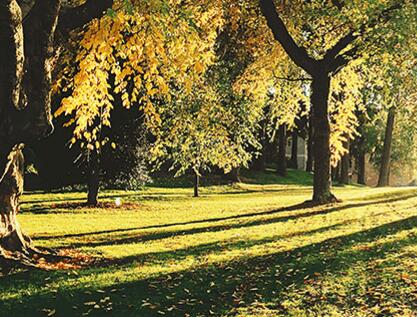 園林綠化及園林綠化施工介紹