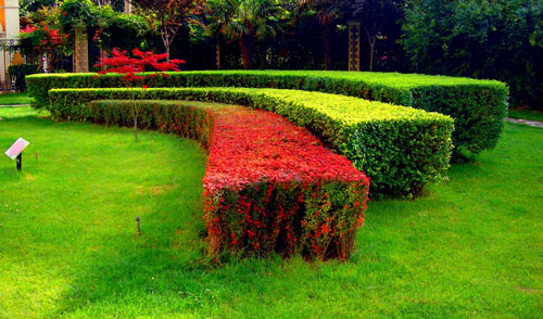 園林綠化要注意哪些細節