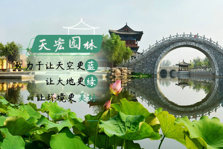 北京天宏園林綠化養護草莓视频app下载黄-草莓视频破解版下载-草莓视频下载安装黄-草莓视频app色版下载